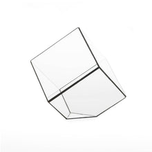 Afbeelding in Gallery-weergave laden, geometrisch-terrarium-cube-zwart-hart-ruyt
