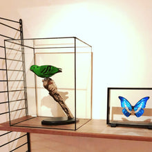 Afbeelding in Gallery-weergave laden, STOLP OP MAAT