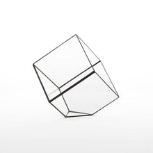 Afbeelding in Gallery-weergave laden, geometrisch-terrarium-cube-small-zwart-hart-ruyt-medium
