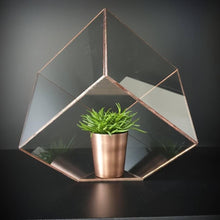 Load image into Gallery viewer, cube medium koper met koperen beker en plant
